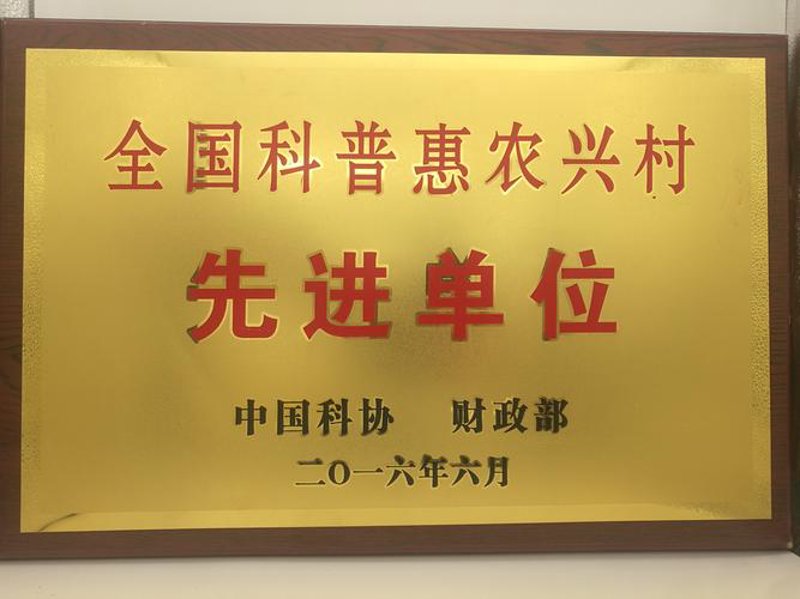 农产品种植：绿色希望的田野上