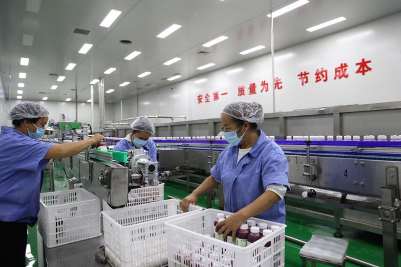 豆子岔合作社：农民增收的希望灯塔
